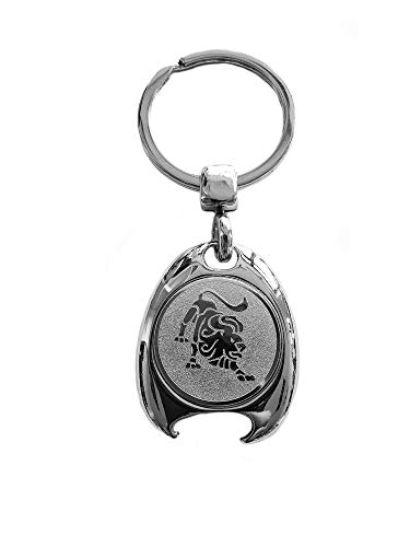 Llavero con diseño de signo del zodiaco Leo, color plateado, en elegante caja de regalo con chip para el carro de la compra y abrebotellas, regalo para hombres y mujeres, deportes, chip de la compra
