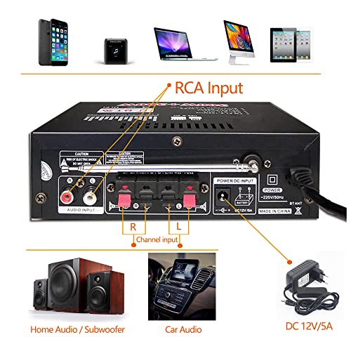 Mini Bluetooth Amplificador Audio, 600W HiFi de 2.0 Canales Audio Stereo Music Reproductor, SD Card/USB Input/ FM Radio, para PC, TV, Amplificador Coche, casa Altavoz, subwoofer BT 12v 220V (600W)