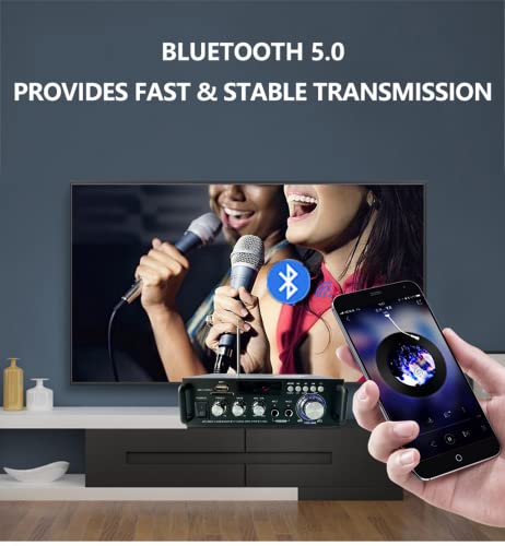 Mini Bluetooth Amplificador Audio, 600W HiFi de 2.0 Canales Audio Stereo Music Reproductor, SD Card/USB Input/ FM Radio, para PC, TV, Amplificador Coche, casa Altavoz, subwoofer BT 12v 220V (600W)