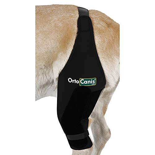 Ortocanis Inmovilizador de Rodilla para Perros con Rotura de ligamentos, luxación de rótula - 2 férulas Laterales limitan los Movimientos - 8 Tallas Disponibles - Color Negro (XXL - Izquierda)