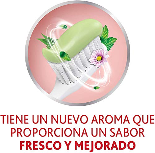 Parodontax, Herbal Fresh, Pasta de Dientes, Ayuda a Detener y Prevenir el Sangrado de Encías, Sabor Eucalipto y Menta, Pack de 3 x 75 ml