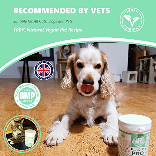 Pets Purest Polvo para Eliminación de Sarro y Placa para Perros, Cachorros y Gatos (180g) Plaque Clean 100% Natural para Animales. Limpia y Cuida Dientes Blancos y Encías. Ayuda contra el Mal Aliento