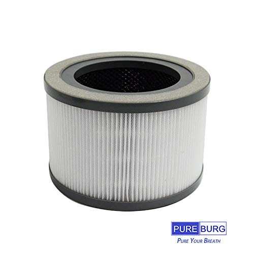 PUREBURG Paquete de 2 filtros de aire HEPA de repuesto compatibles con Levoit Vista 200 purificador de aire número de pieza Vista 200-RF