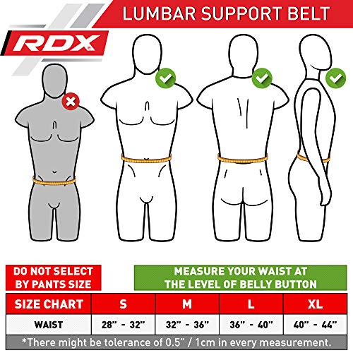 RDX Gimnasio Cinturón Ejercicio Entrenamiento Musculacion Cinturones Pesas Levantamiento