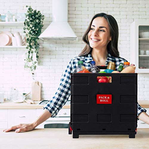 Relaxdays Carrito Compra Plegable, 2 Ruedas, Caja Transporte, hasta 35 kg, 98 x 45,5 x 37 cm, Plástico-Aluminio, Rojo