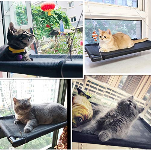 SABAN Ventana para gatos | Hamaca para gatos | Hamaca para gatos de hasta 31 kg | Tumbona para gatos | Ventana Lounger gatos con 4 grandes ventosas con un peso