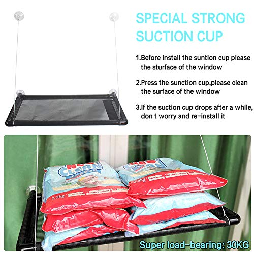 SABAN Ventana para gatos | Hamaca para gatos | Hamaca para gatos de hasta 31 kg | Tumbona para gatos | Ventana Lounger gatos con 4 grandes ventosas con un peso