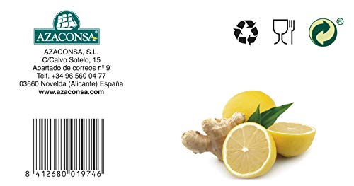 Ship - Té Verde de Jengibre y Limón en Caja de 25 Unidades - Propiedades Antioxidantes - Ayuda a Activar la Mente - Aporta Vitaminas y Minerales - Proporciona Bienestar y Tranquilidad - Sabor Dulce