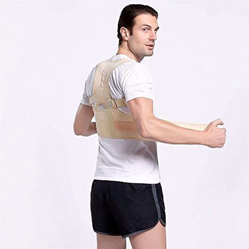 SJHQ 1 UNIDS Atrás Soporte Cinturón de Apoyo Cintura Corrección Lumbar Corrección Postura Corrector Hombro Fijación for el Deporte Decoración Corrector de Postura (Color : Beige, Size : XX-Large)