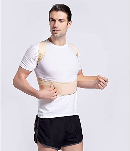 SJHQ 1 UNIDS Atrás Soporte Cinturón de Apoyo Cintura Corrección Lumbar Corrección Postura Corrector Hombro Fijación for el Deporte Decoración Corrector de Postura (Color : Beige, Size : XX-Large)