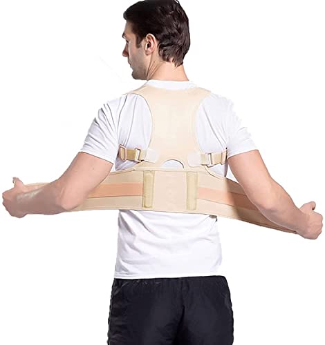SJHQ 1 UNIDS Atrás Soporte Cinturón de Apoyo Cintura Corrección Lumbar Corrección Postura Corrector Hombro Fijación for el Deporte Decoración Corrector de Postura (Color : Beige, Size : XX-Large)