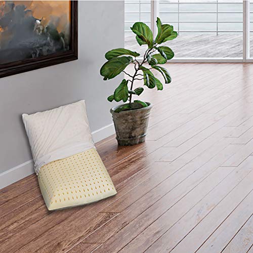 Sleepys Cojín de látex Natural, 74 x 42 x 10 cm de Alto, con Funda de Punto 100 % algodón, Almohada de látex TALAY antialérgico