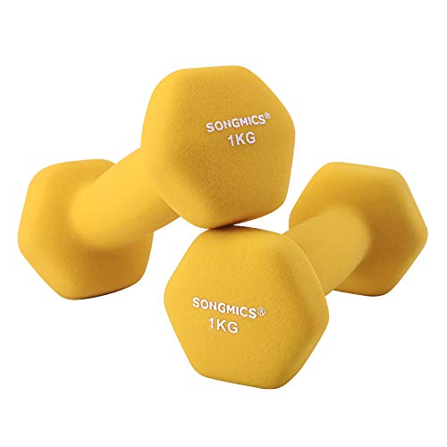 SONGMICS Juego de 2 Mancuernas para Gimnasio y Entrenamiento 2 x 1 kg SYL62YL