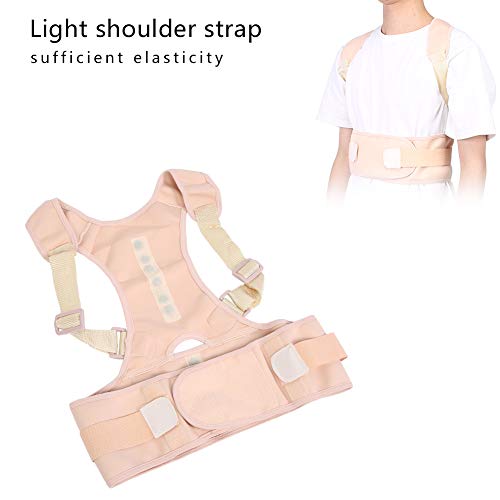 Soporte Recto para la Espalda, Corrector de Posición, Cinturón de Soporte de Espina Invisible Corsé Ortopédico Cintura Ortopédica Soporte de Hombro Cinturón de Soporte de Espalda(2XL)