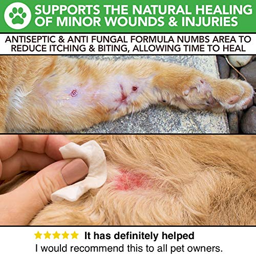 Spray completamente natural para el cuidado de la piel con comezón y de heridas para perros y gatos | Alivio de la comezón y cuidado de la piel | Tratar la picazón, la piel agrietada y las heridas