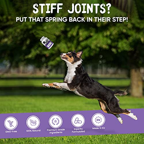 Suplemento Condroprotector Perros y Gatos Glucosamina y Condroitina 500mg 180 Cápsulas | Suplemento Antiinflamatorio Con Vitamina C, Cúrcuma y Jengibre, Para Articulaciones, Huesos y Cartílagos