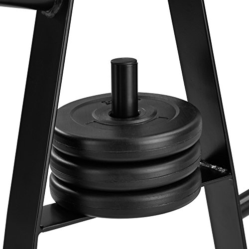 TecTake Soporte para Discos de Pesas con 7 Barras | Diámetro de la Toma de Discos 25 mm | Resistencia 200 kg