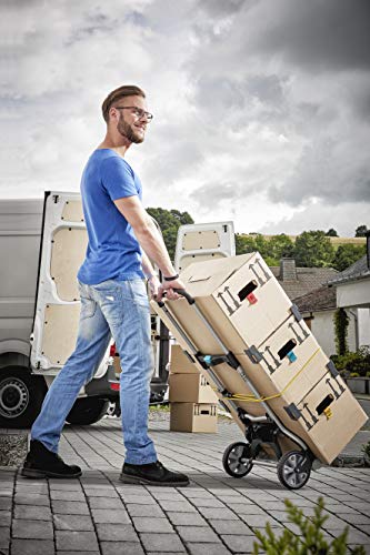 wolfcraft Carro de transporte TS 850, 5501000, La carretilla para sacos para todas las aplicaciones cómoda y compacta