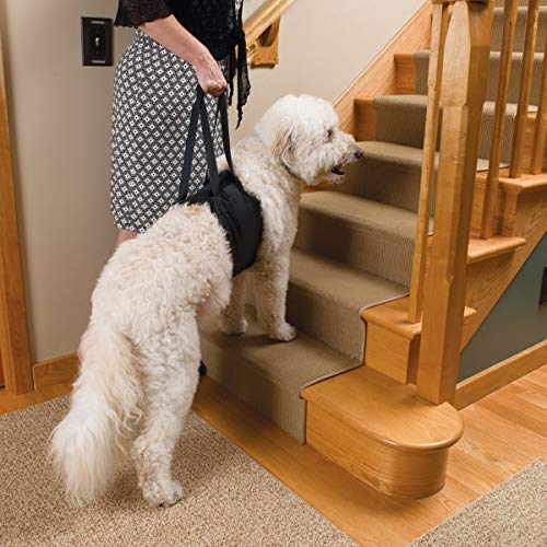 XIAO Arnés Soporte Portátil para Elevación Ayuda Perro Patas Traseras Delanteras Débiles Levántate,Sube Escaleras Deshabilita,Ancianos Lesiones Articulares Mascotas, Movilidad Recuperación,S