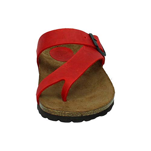 ZAPATOP 7119 Chancla ESCLAVA Rojo Mujer Sandalias Rojo 38