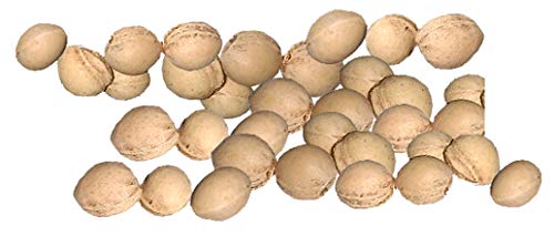 10 kg de huesos de cereza sueltos y limpios, para cojín de calor, relleno para peluches