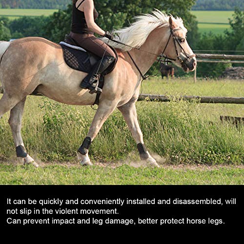 4 Uds Protector de pierna de caballo elástico botas de pierna trasera delantera de caballo botas de montar a caballo tendón Fetlock botas Pony protección de pierna con absorción de impactos(M-negro)