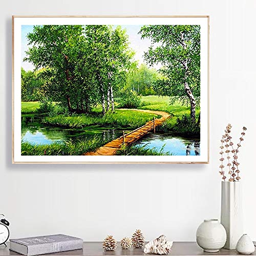 5D Diy Diamante Pintura Paisaje Naturaleza Kit de punto de cruz Taladro completo Bordado Mosaico Imagen de invierno de diamantes de imitación Decoración para el hogar A14 60x80cm