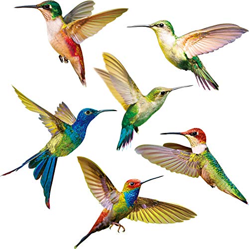 6 Piezas Colibríes Se Aferra a Ventana Adhesivos de Ventana Anticolisión Calcomanías para Evitar Golpes de Pájaros en Ventana Adhesivo de Vinilo no Adhesivo de Vidrio Colibrí Pegatinas (6 Piezas)