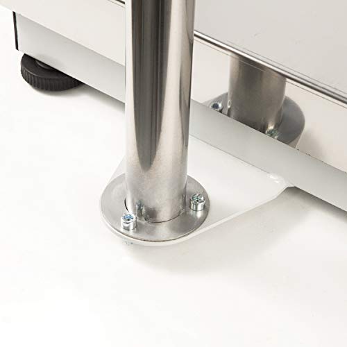 Accurex Báscula Industrial de Plataforma RX-150S (150 kg / 20 g, Plataforma de Pesaje 30 x 40 cm)
