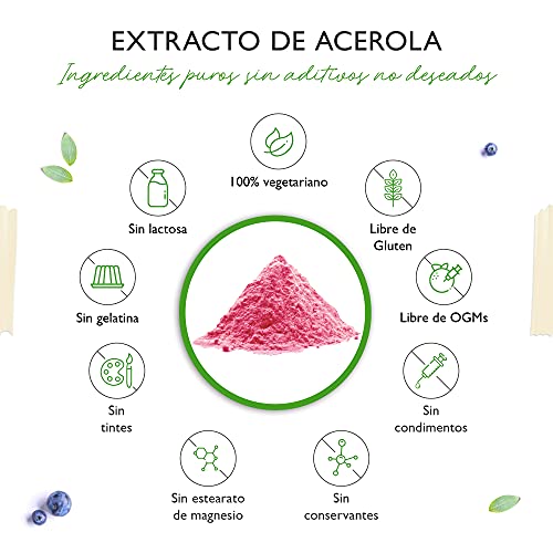 Acerola en polvo - 300 g (suministro para 6,6 meses) - Vitamina C natural - 200 raciones diarias con 1500 mg de extracto puro de cereza acerola - Vegano