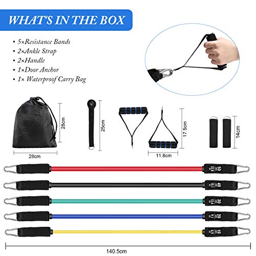 Aiglam Bandas Elasticas Musculacion 150lbs, 11PCS Set de Bandas de Resistencia , Kit de Bandas para Entrenar con Tubos, Manijas de Hule, Correas para Tobillos, Anclaje para Puerta para Fitness