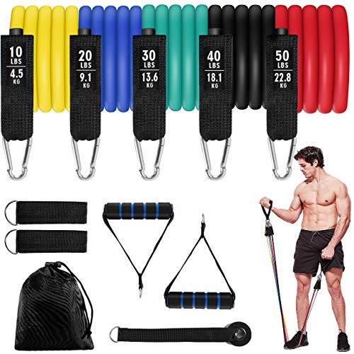 Aiglam Bandas Elasticas Musculacion 150lbs, 11PCS Set de Bandas de Resistencia , Kit de Bandas para Entrenar con Tubos, Manijas de Hule, Correas para Tobillos, Anclaje para Puerta para Fitness