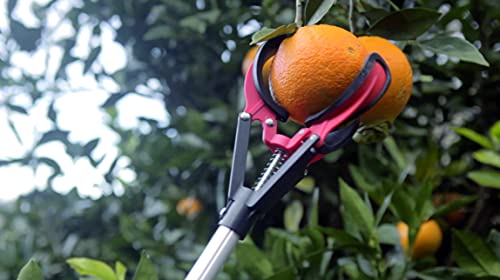 Altuna 90101 - Recogefrutas de 3 pinzas telescópico para llegar a todas las altura, extensible de 1,3-2 m