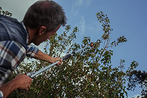 Altuna 90101 - Recogefrutas de 3 pinzas telescópico para llegar a todas las altura, extensible de 1,3-2 m