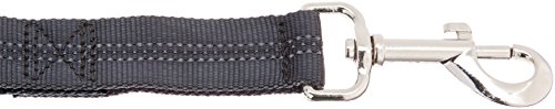 Amazon Basics - Correa para perro, elástica, asa doble, 1,21 m, color negro