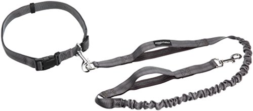 Amazon Basics - Correa para perro, elástica, asa doble, 1,21 m, color negro