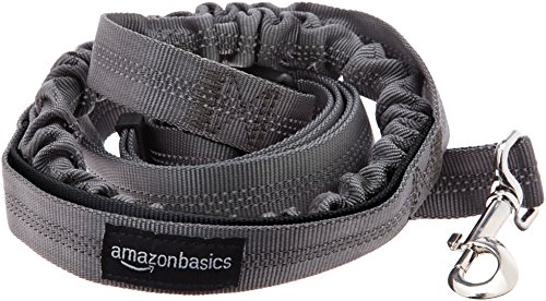 Amazon Basics - Correa para perro, elástica, asa doble, 1,21 m, color negro