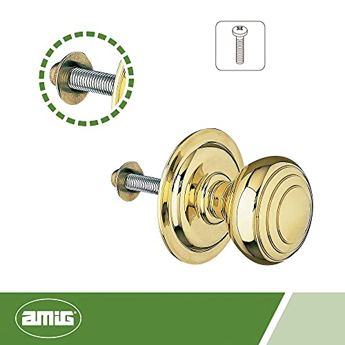 Amig - Pomo Mod 14 Dorado Redondo de Latón Macizo Pulido para Puertas Exteriores de Entrada | Diámetro Tirador Ø61 mm · Altura 72,5 mm | Fácil de Instalar Incluye Tuerca de Fijación