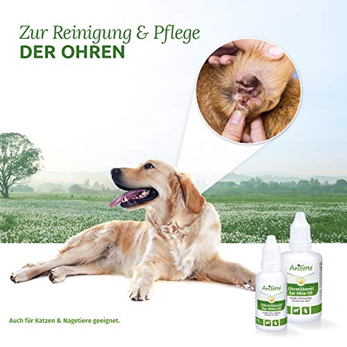 AniForte Aceite para el oído Perros, Gatos, Roedores 50ml - Cuidado de los ácaros del oído, ácaros de Las Gotas para el oído, Hongos de levadura, picor en el oído, Descarga