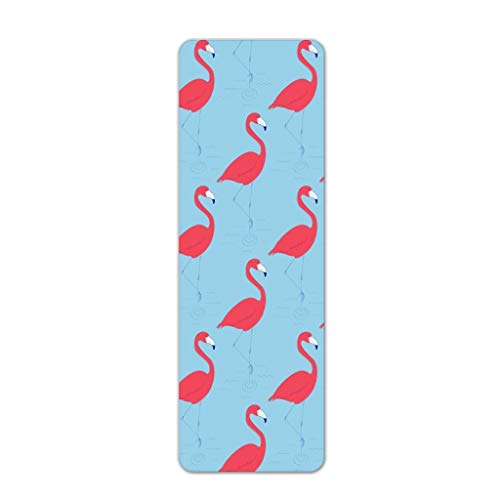 AVOA Estera de Yoga Nuevo Flamenco Deportes Mat TPE de Doble Cara Antideslizante Suave Yoga Estera cómoda impresión Yoga Mat Estera de la Aptitud Estera de Gimnasia (Color : C, tamaño : 6mm)