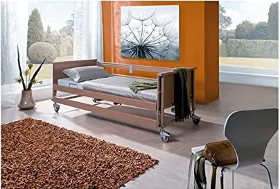 Ayudas Dinámicas Cama ELECTRICA ARTICULADA + Carro Elevador +BARRANDILLAS+ Almohada VISCOELÁSTICA + COLCHÓN VISCOELÁSTICO + Crema ANTIESCARAS DE Regalo
