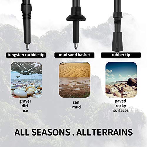 Bastones Trekking Plegable, Wisdom1674 Bastón de Senderismo Ajustables, Mango Ergonómico Palillo de Escalada Ultraligero con Bolsas, Bastones Marcha Nórdica para Senderismo Viaje, Fitness, Montañismo
