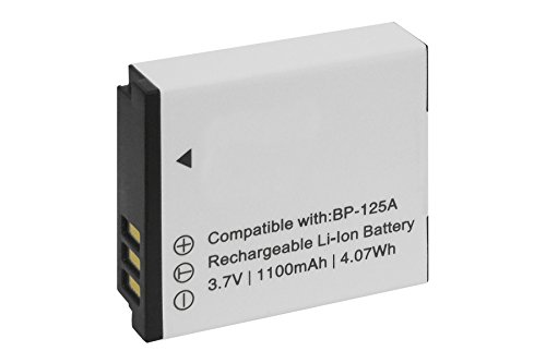Baterìa + Cargador (USB/Coche/Corriente) IA-BP125A para Samsung HMX-M20, Q100, Q130, Q200, QF30, QF320, T10, T11 Ver Lista!