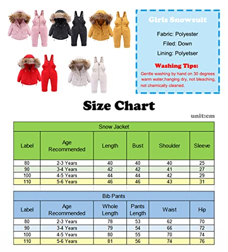Bebé Traje de Nieve 2 Piezas Abrigo de Plumón con Capucha + Pantalones de Peto Ropa de Esquí para Niños Niñas 12-18 Meses