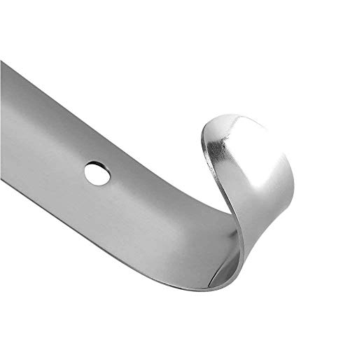 behone 2pcs Calzadores de acero inoxidable, Calzador Pequeño 30 cm de Largo para Zapatos Metálico Acero Robusto Duradero con Gancho Diseño Elegante y Ergonómico de Viaje Cómodo de Usar