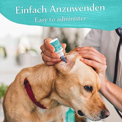 BELISY > Limpiador de oídos < para perros, gatos y animales pequeños – 50 ml – 100% aceite natural para el cuidado de los oídos – gotas contra picor, inflamaciones y ácaros – sin alcohol.