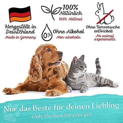 BELISY > Limpiador de oídos < para perros, gatos y animales pequeños – 50 ml – 100% aceite natural para el cuidado de los oídos – gotas contra picor, inflamaciones y ácaros – sin alcohol.