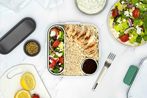 Black+Blum | Sin BPA, a prueba de fugas, apto para microondas Bento Box Style Compartimiento contenedor de alimentos, con tenedor de acero inoxidable, oliva, 1000 ml