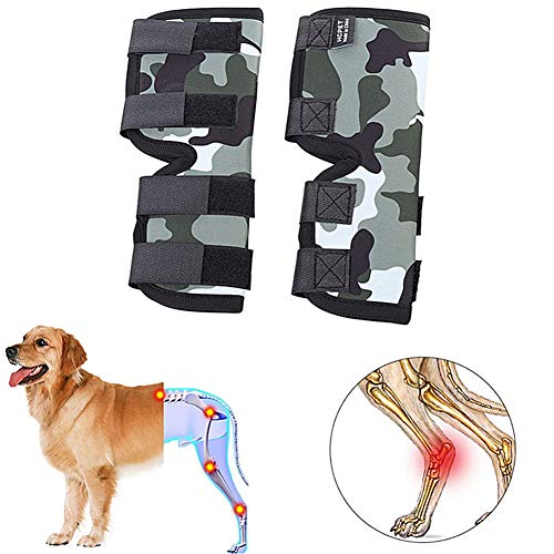 BOduShang Antiinflamatorio para Perros Rodillera Perro Perro Aparato ortopédico de Pierna Cadera y articulación para Perros Medium