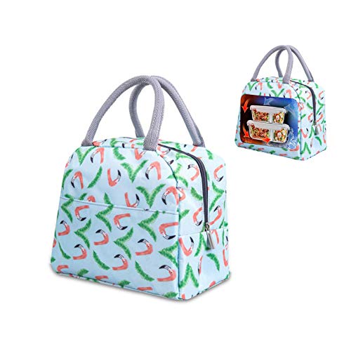 Bolsa térmica plegable, bolsa de picnic, bolsa de compras plegable, bolsa de picnic, bolsa de picnic, bolsa de almuerzo para hombres, bolsa de almuerzo (YLZ-lvsehuolieniao)